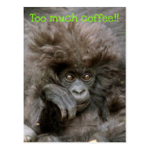 Crazy Hair Monkey Too Much Coffee Postcard