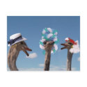 Crazy Hat Day at the Races postcard
