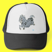 Crazy horse hat