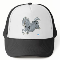 Crazy horse hat