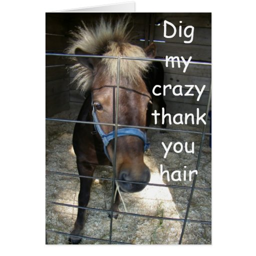 crazy-horse-thank-you-greeting-cards-zazzle