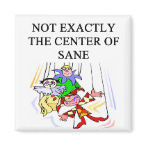 crazy insane psychology design magnets by jimhartley crazy insane psychology design magnets