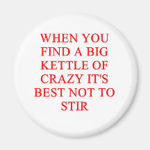 crazy insne joke refrigerator magnet