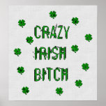 Crazy Irish B***** Poster