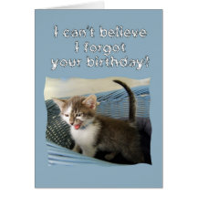 Crazy Kitten Belated Birthday Greeting Card