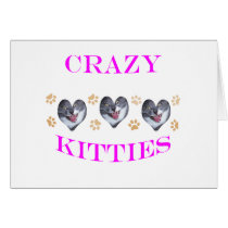 crazy kitties