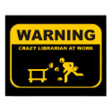 Crazy Librarian Poster posters