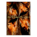 Crazy Like A Fox cards
