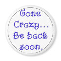 crazy magnets by lady_mystix crazy magnets