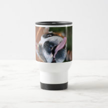 Crazy Pit Bull Dog Mugs