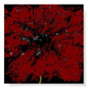 Crazy Poppy posters by luvyourdog11 Crazy Poppy posters
