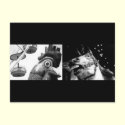Crazy Rooster, meet Crazy Horse postcards by PlainBrownWrapper Crazy Rooster, meet Crazy Horse postcards