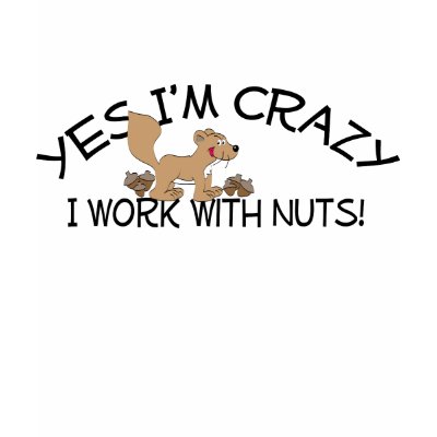 Crazy Squirrel Tee Shirts by haywiregraphics