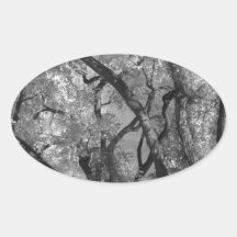Crazy Tree Sky Oval Sticker
