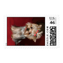 CRAZYABOUTYORKIES postage