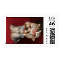 CRAZYABOUTYORKIES postage by CRAZYABOUTYORKIES CRAZYABOUTYORKIES postage