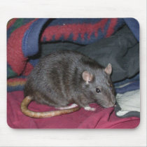 crazymazey2 mousepads by RhinelanderRatRescue crazymazey2 mousepads
