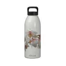 Cream and Pink Orchids Reusable Water Bottles