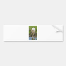 cream bull in water bumper stickers