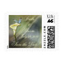 Cream Calla Lily and Butterfly