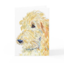 Cream Labradoodle #2 Greeting Card