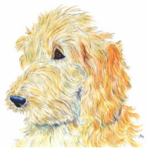 Cream Labradoodle #2 Sculpture photo sculptures by mozache Cream Labradoodle #2 Sculpture photo sculptures