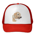 Cream Labradoodle Cap Hat