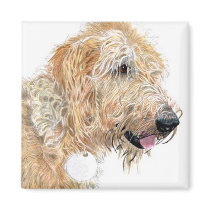 Cream Labradoodle Magnet