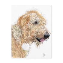 Cream Labradoodle Postcards by mozache Cream Labradoodle Postcards