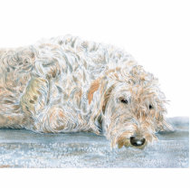 Cream Labradoodle Sculpture photo sculptures by mozache Cream Labradoodle Sculpture photo sculptures