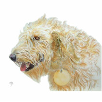Cream Labradoodle Sculpture photo sculptures by mozache Cream Labradoodle Sculpture photo sculptures
