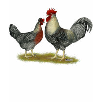 Cream Legbar Chickens Shirts
