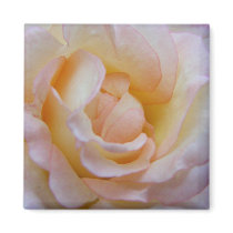 Cream n Pink magnets by SweetRascal Cream n Pink magnets