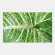 Cream patterns on green leaf rectangle sticker