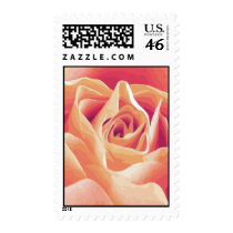 Cream Pink Rose Postage postage