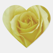 Cream Rose and meaning Heart Stickers