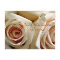 Cream Rose Bouquet - Save the Date Card postcards