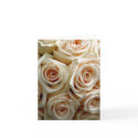 Cream Rose Bouquet - Thank You cards