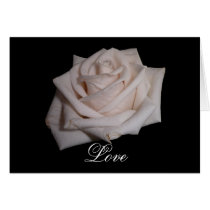 Cream rose cards