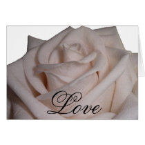 Cream Rose cards
