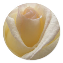 Cream Rose Envelope Closures stickers by SweetRascal Cream Rose Envelope Closures stickers