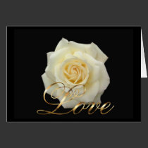Cream Rose - Love cards