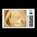 Cream Rose, Love! postage