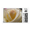 Cream Rose postage by SweetRascal Cream Rose postage