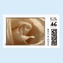 Cream Rose postage
