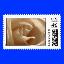 Cream Rose Stamp
