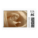 Cream Rose postage by TDSwhite Cream Rose postage