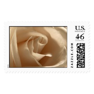 Cream Rose stamp