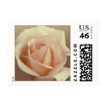 Cream Rose postage