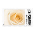 Cream Rose postage